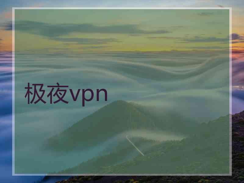 极夜vpn