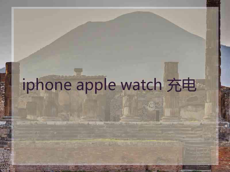 iphone apple watch 充电