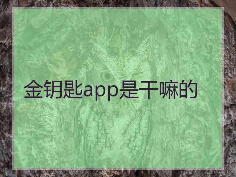 金钥匙app是干嘛的