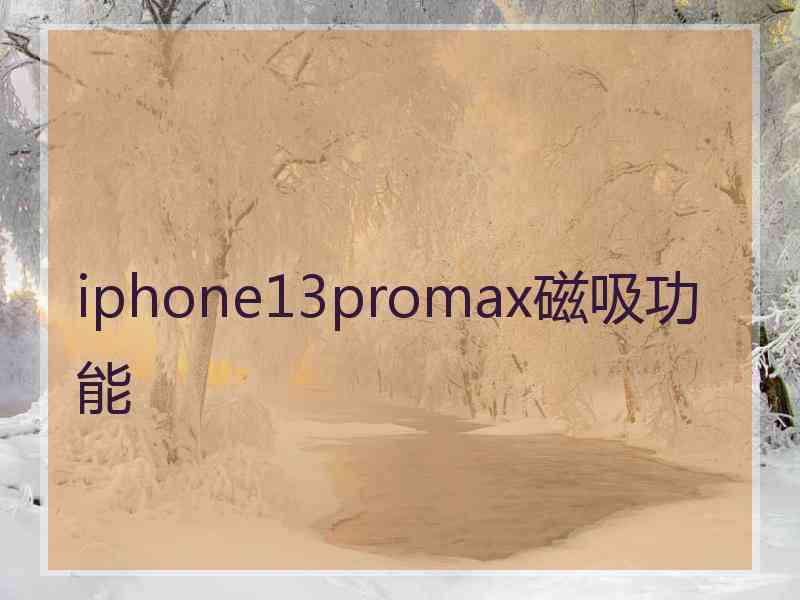 iphone13promax磁吸功能