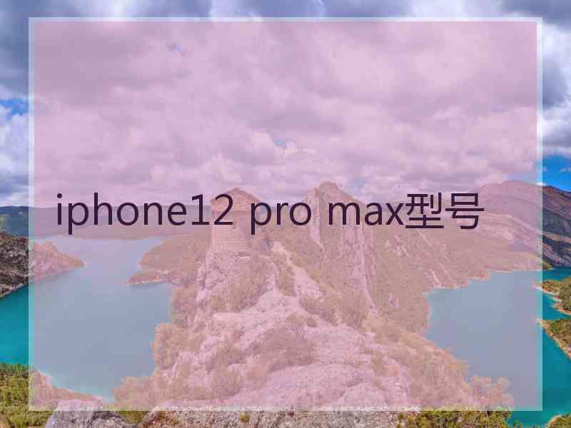 iphone12 pro max型号