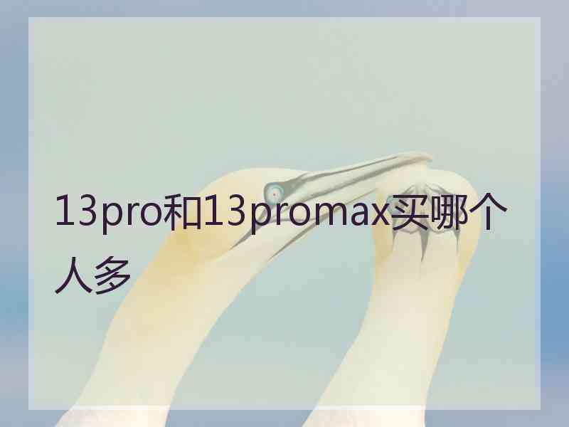 13pro和13promax买哪个人多