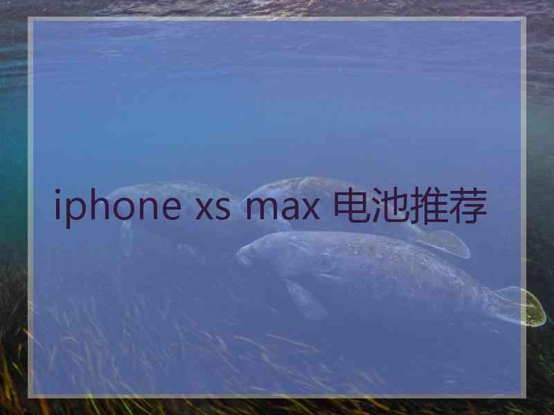 iphone xs max 电池推荐