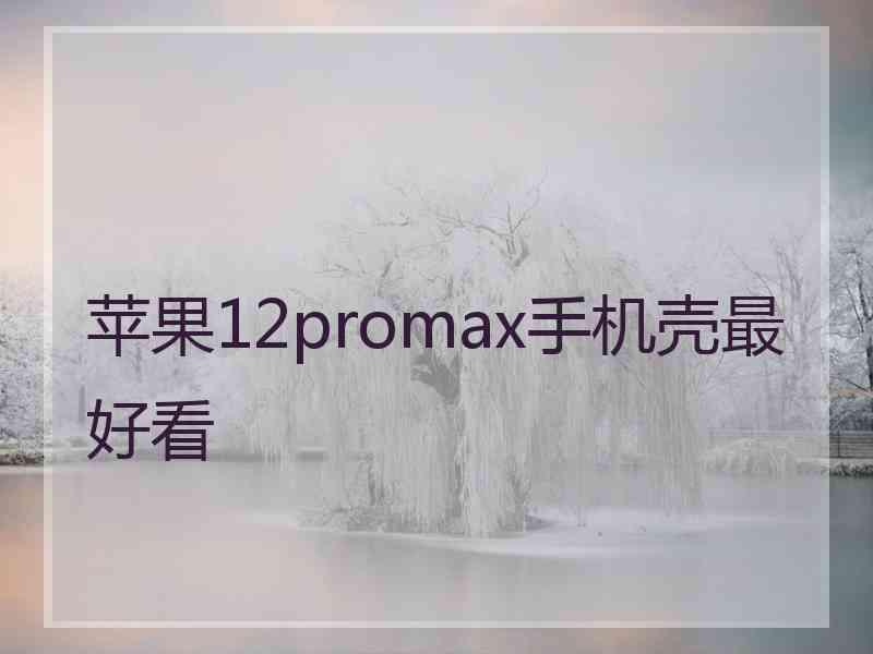 苹果12promax手机壳最好看