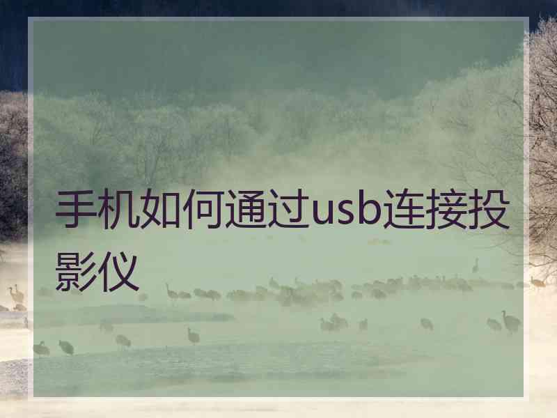 手机如何通过usb连接投影仪