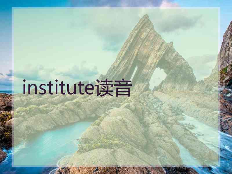 institute读音