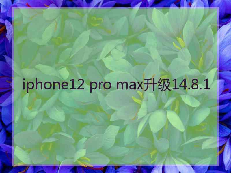 iphone12 pro max升级14.8.1