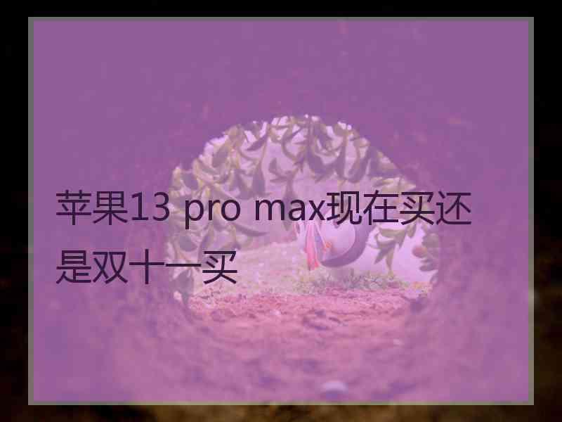 苹果13 pro max现在买还是双十一买