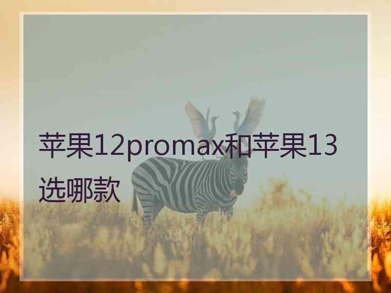 苹果12promax和苹果13选哪款