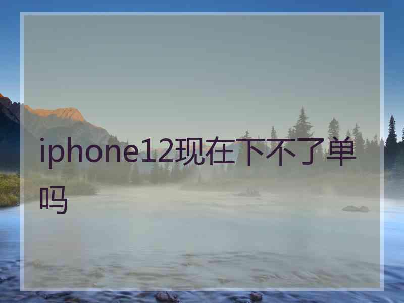 iphone12现在下不了单吗