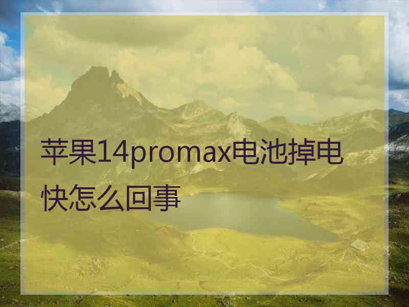 苹果14promax电池掉电快怎么回事