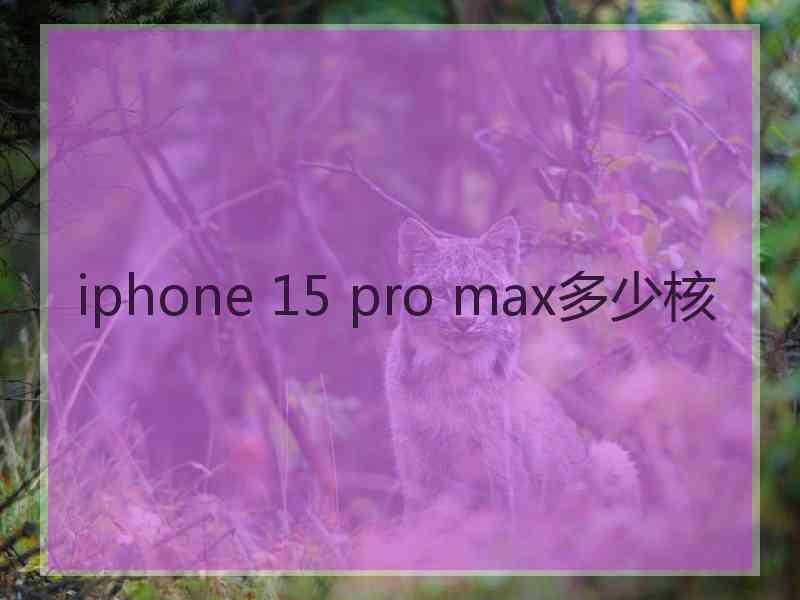 iphone 15 pro max多少核