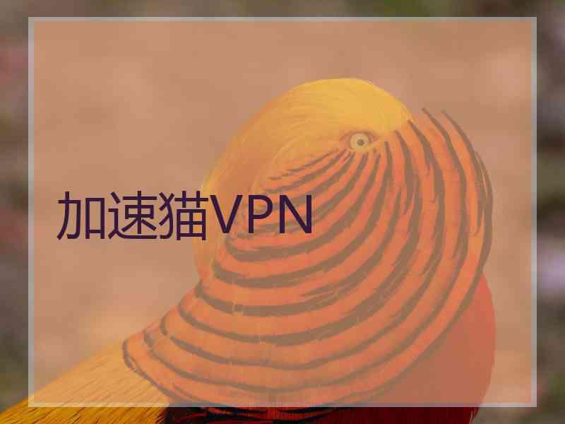 加速猫VPN