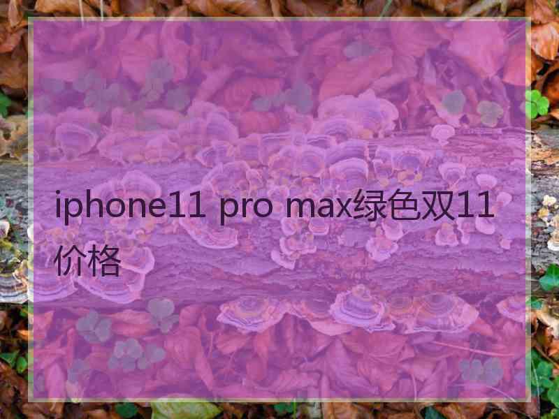 iphone11 pro max绿色双11价格