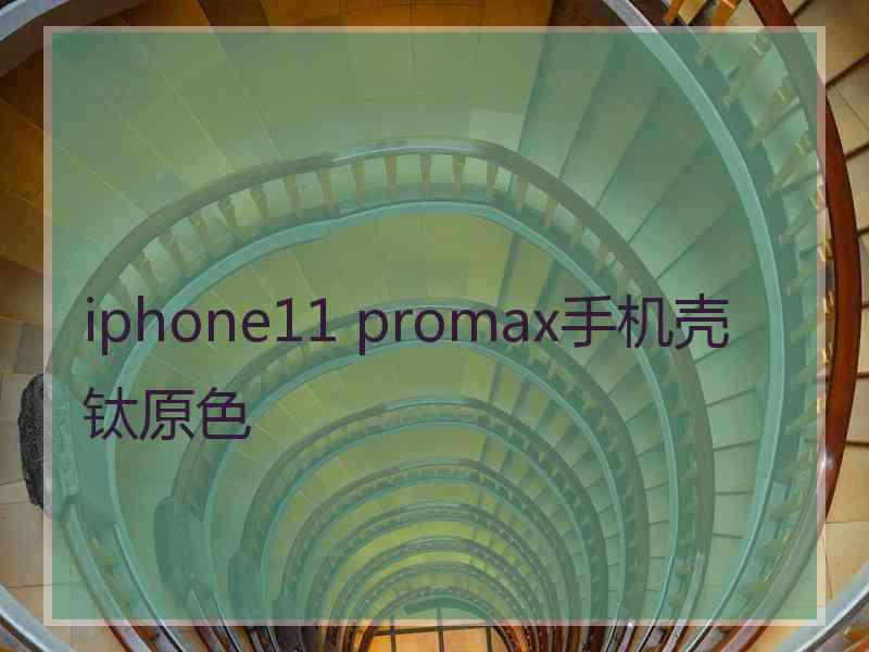 iphone11 promax手机壳钛原色