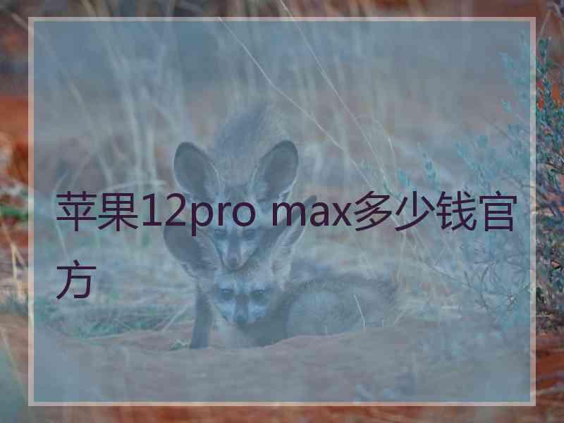 苹果12pro max多少钱官方