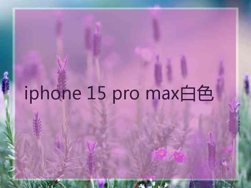 iphone 15 pro max白色