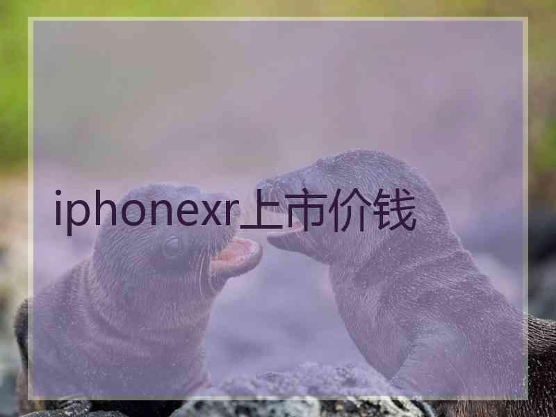 iphonexr上市价钱