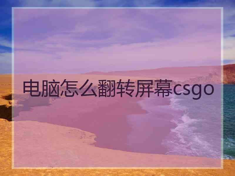 电脑怎么翻转屏幕csgo