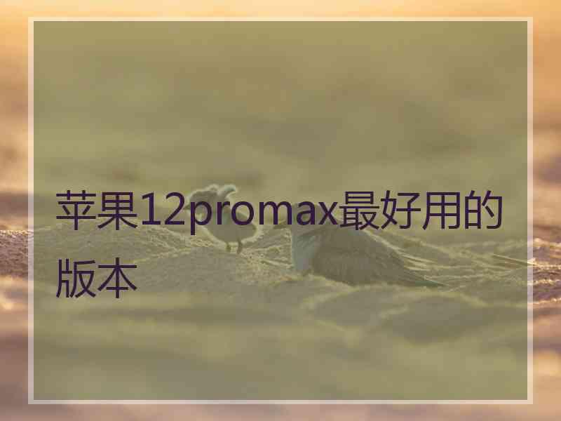 苹果12promax最好用的版本