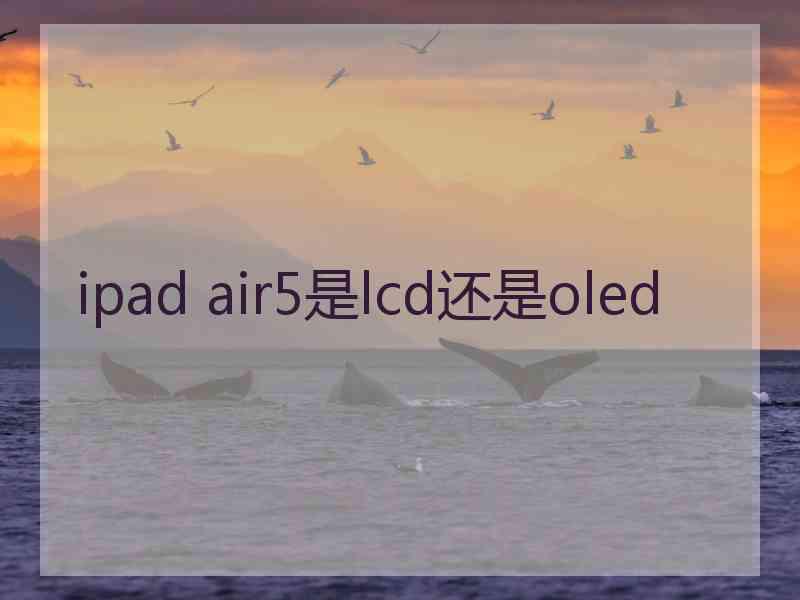 ipad air5是lcd还是oled