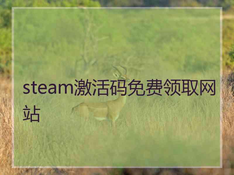 steam激活码免费领取网站