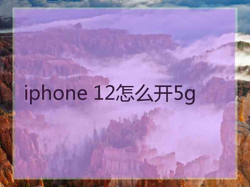 iphone 12怎么开5g