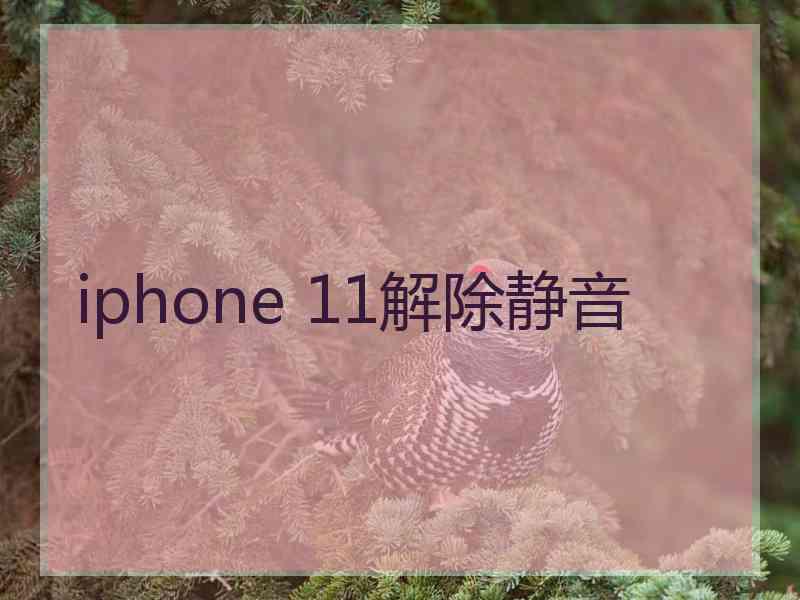 iphone 11解除静音