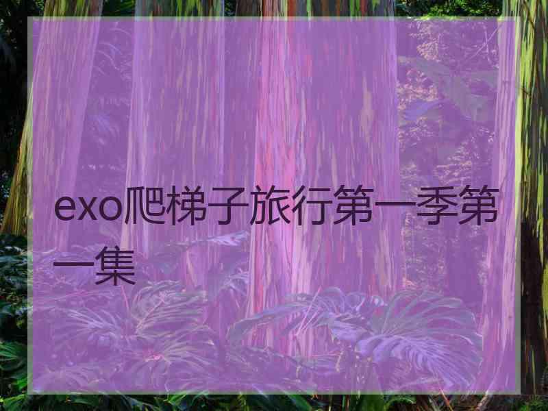 exo爬梯子旅行第一季第一集