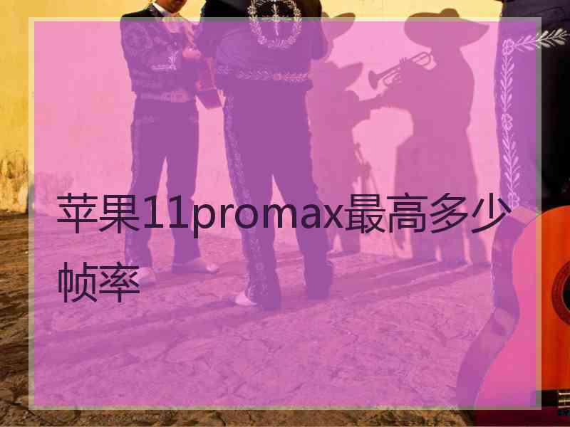 苹果11promax最高多少帧率