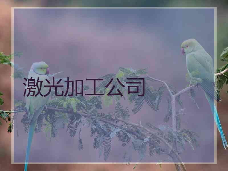 激光加工公司