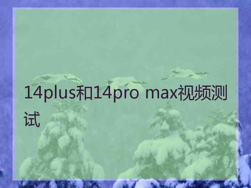 14plus和14pro max视频测试