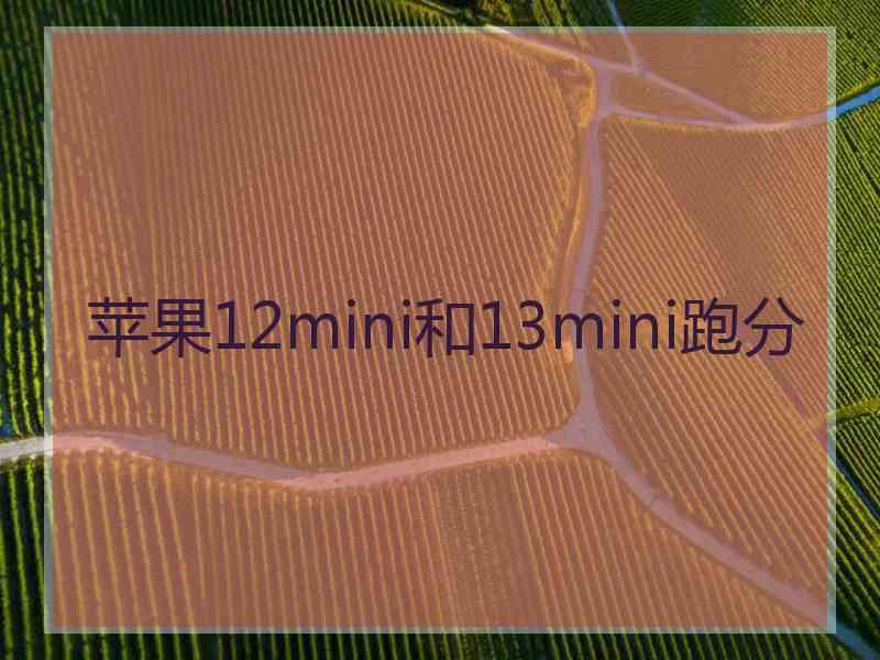 苹果12mini和13mini跑分