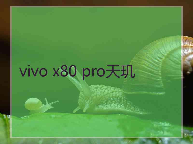 vivo x80 pro天玑