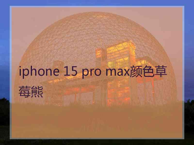 iphone 15 pro max颜色草莓熊