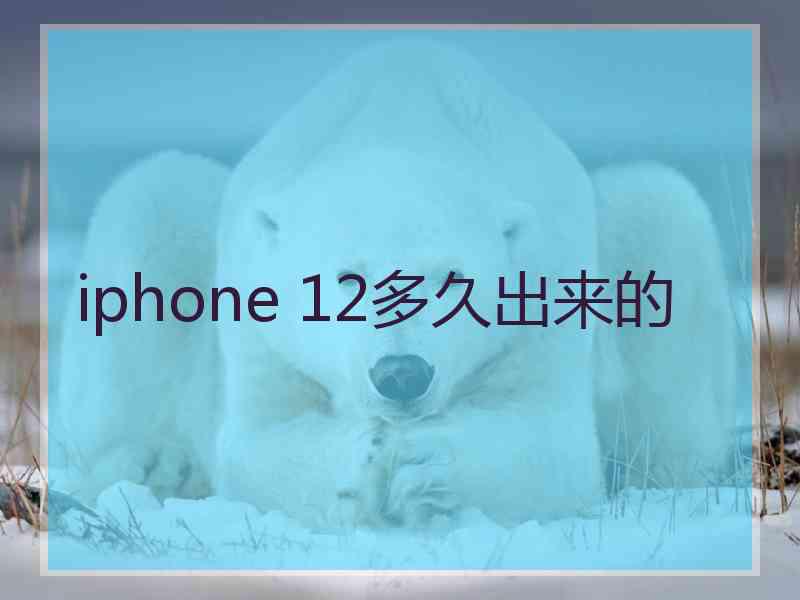 iphone 12多久出来的