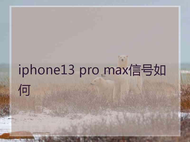 iphone13 pro max信号如何