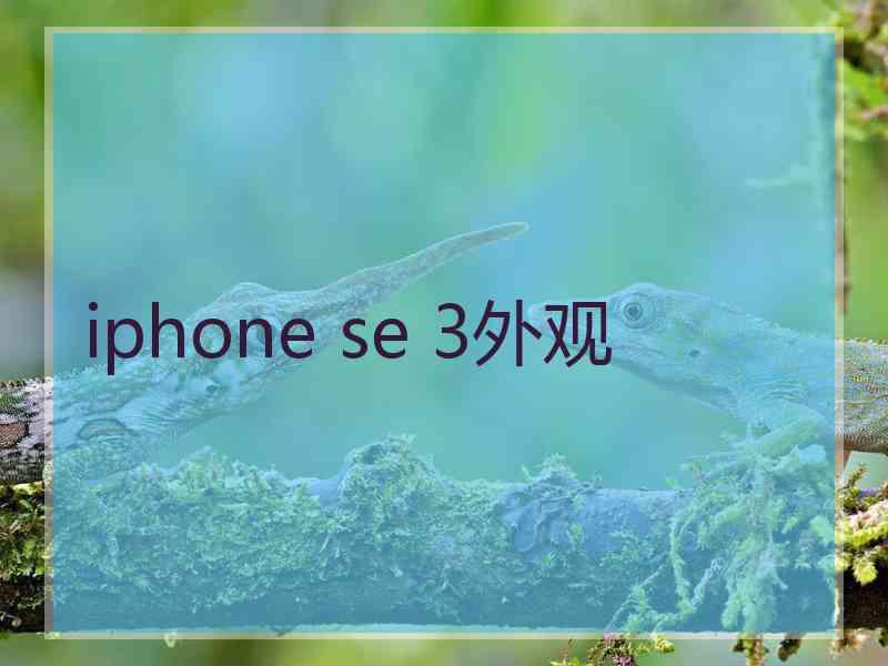 iphone se 3外观