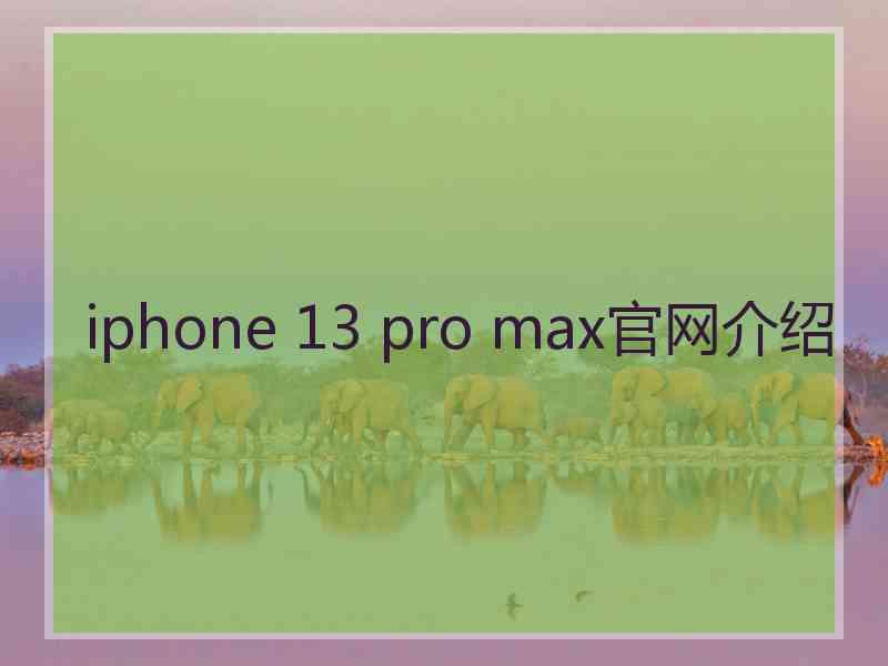 iphone 13 pro max官网介绍