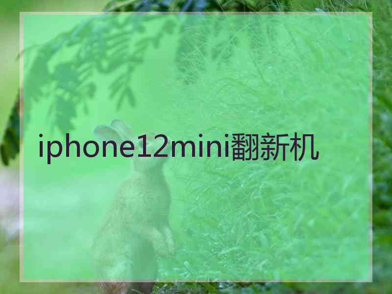 iphone12mini翻新机