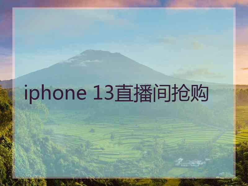 iphone 13直播间抢购