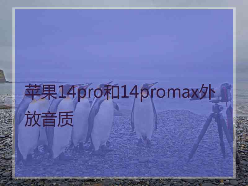 苹果14pro和14promax外放音质