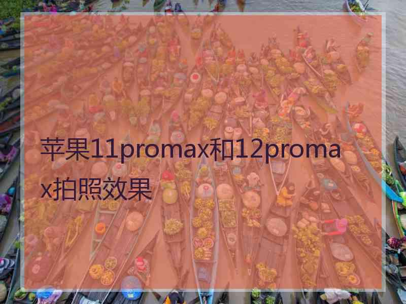 苹果11promax和12promax拍照效果