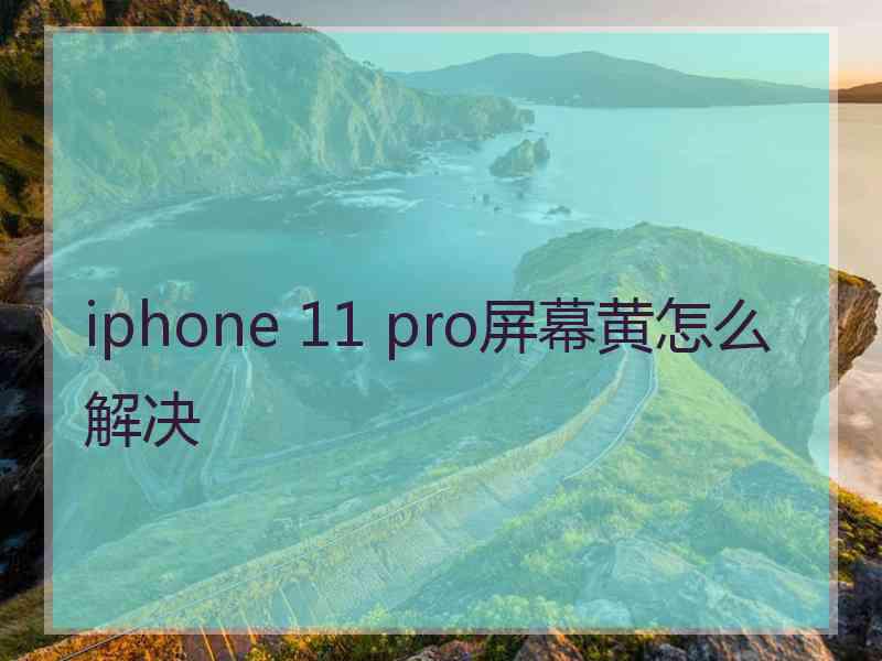 iphone 11 pro屏幕黄怎么解决