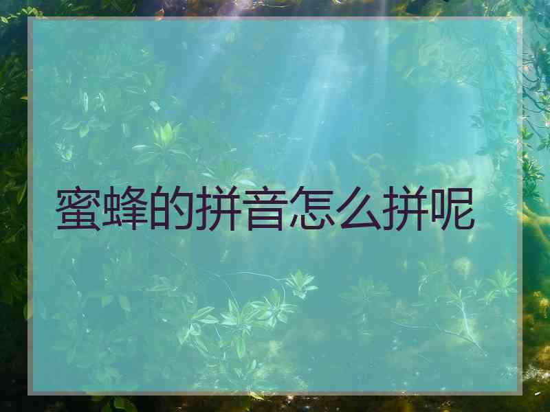 蜜蜂的拼音怎么拼呢