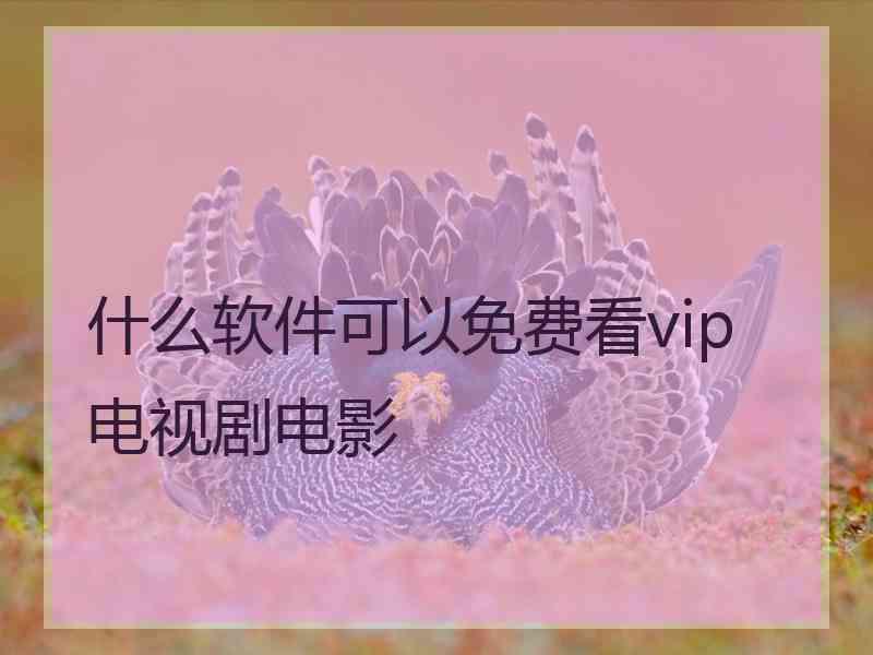 什么软件可以免费看vip电视剧电影