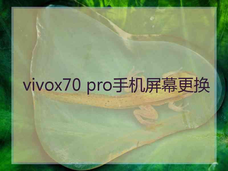 vivox70 pro手机屏幕更换