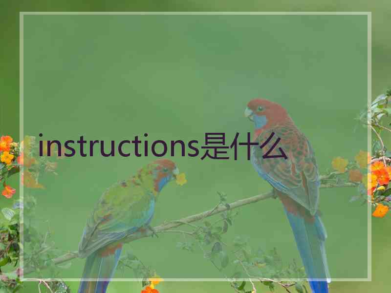 instructions是什么