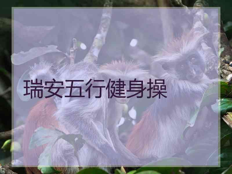 瑞安五行健身操