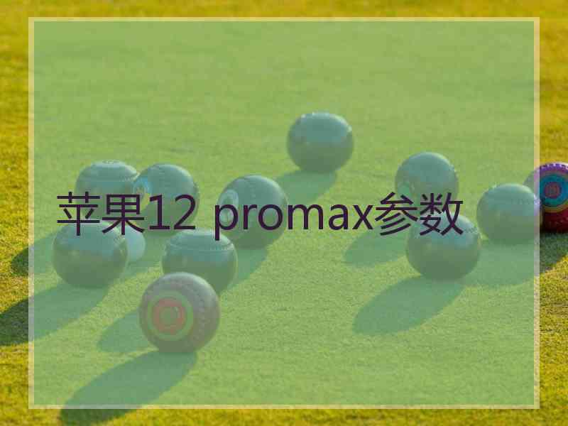 苹果12 promax参数